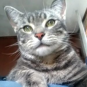 Meet your Posher, Darene